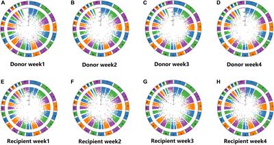 Genome-Wide Association Study of Tacrolimus Pharmacokinetics Identifies Novel Single Nucleotide Polymorphisms in the Convalescence and Stabilization Periods of Post-transplant Liver Function